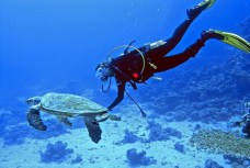 cozumel-2tanks