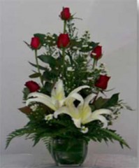 rosas6